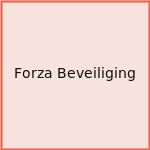 Forza Beveiliging